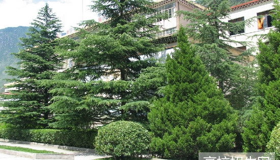 學校環(huán)境