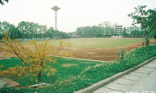 成都華夏旅游商務(wù)學(xué)校（雙流華夏幼師學(xué)校）花草飄香