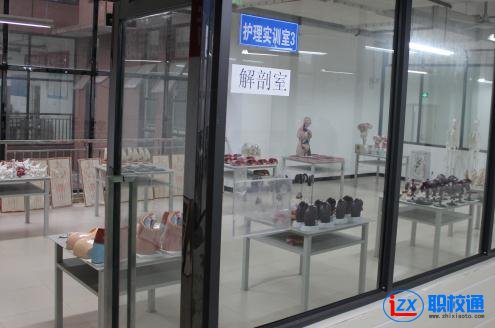 成都護理學校護士專業(yè)的學校招生