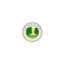  重慶醫(yī)藥高等專科學(xué)校的標識