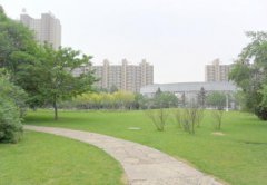  成都華大醫(yī)藥衛(wèi)生學(xué)校口腔修復(fù)工藝學(xué)專業(yè)介紹