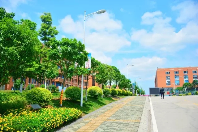 看一看四川省商務(wù)計(jì)算機(jī)職業(yè)學(xué)院2020年招生計(jì)劃