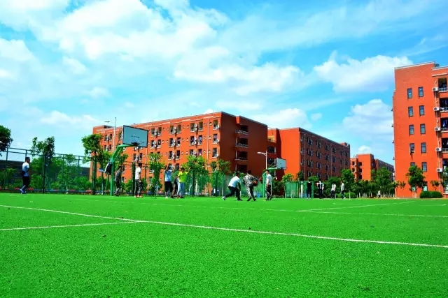 成都市育華計算機職業(yè)學校2020年招生計劃