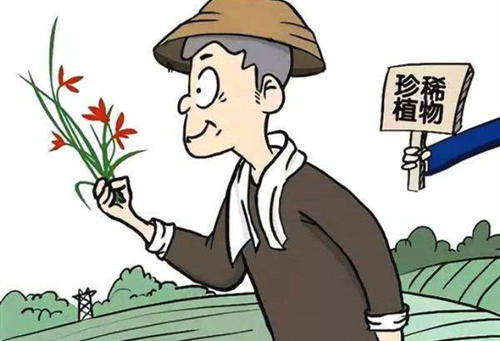 植物保護(hù)專業(yè)就業(yè)方向有哪些？