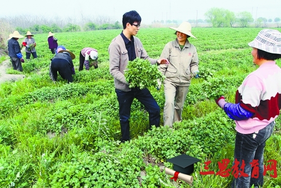 2020年四川大學(xué)生村官報考條件及村官工資待遇標(biāo)準(zhǔn)