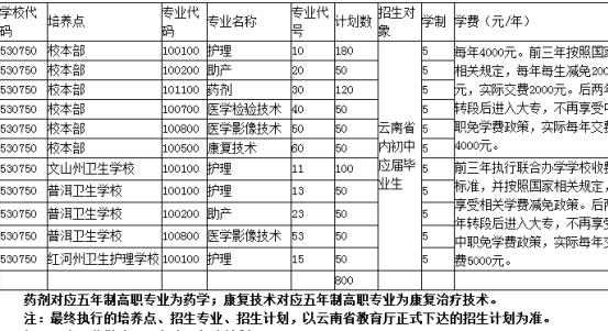 紅河衛(wèi)生職業(yè)學(xué)院五年制大專2020年招生簡(jiǎn)章