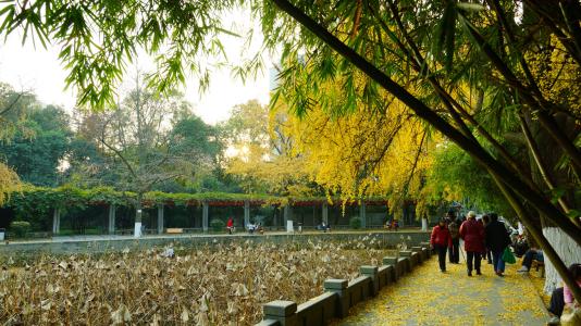 四川大學華西臨床醫(yī)學院校園環(huán)境