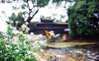 四川省成都市財(cái)貿(mào)職業(yè)高級(jí)中學(xué)校怎么樣