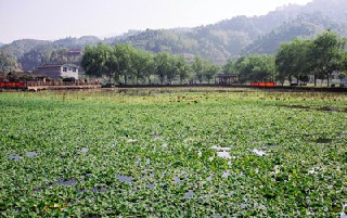 成都市中山職業(yè)技術(shù)學(xué)校學(xué)校怎么樣