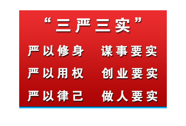 2020年三嚴(yán)三實(shí)學(xué)習(xí)體會(huì)思想?yún)R報(bào)