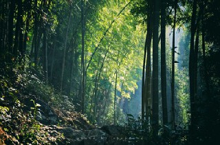 2020年成都華夏旅游商務(wù)學(xué)校春招生計(jì)劃