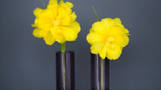四川廣播電視中等專業(yè)學(xué)校春季招生簡(jiǎn)章_收費(fèi)標(biāo)準(zhǔn)