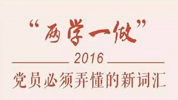 2020年兩學一做研討交流材料精選