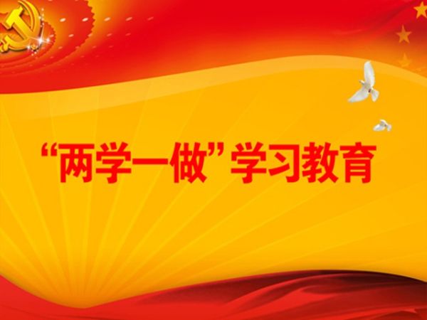 2020年企業(yè)兩學一做黨課材料2篇