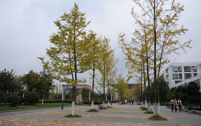 成都師范學(xué)院校園風(fēng)景