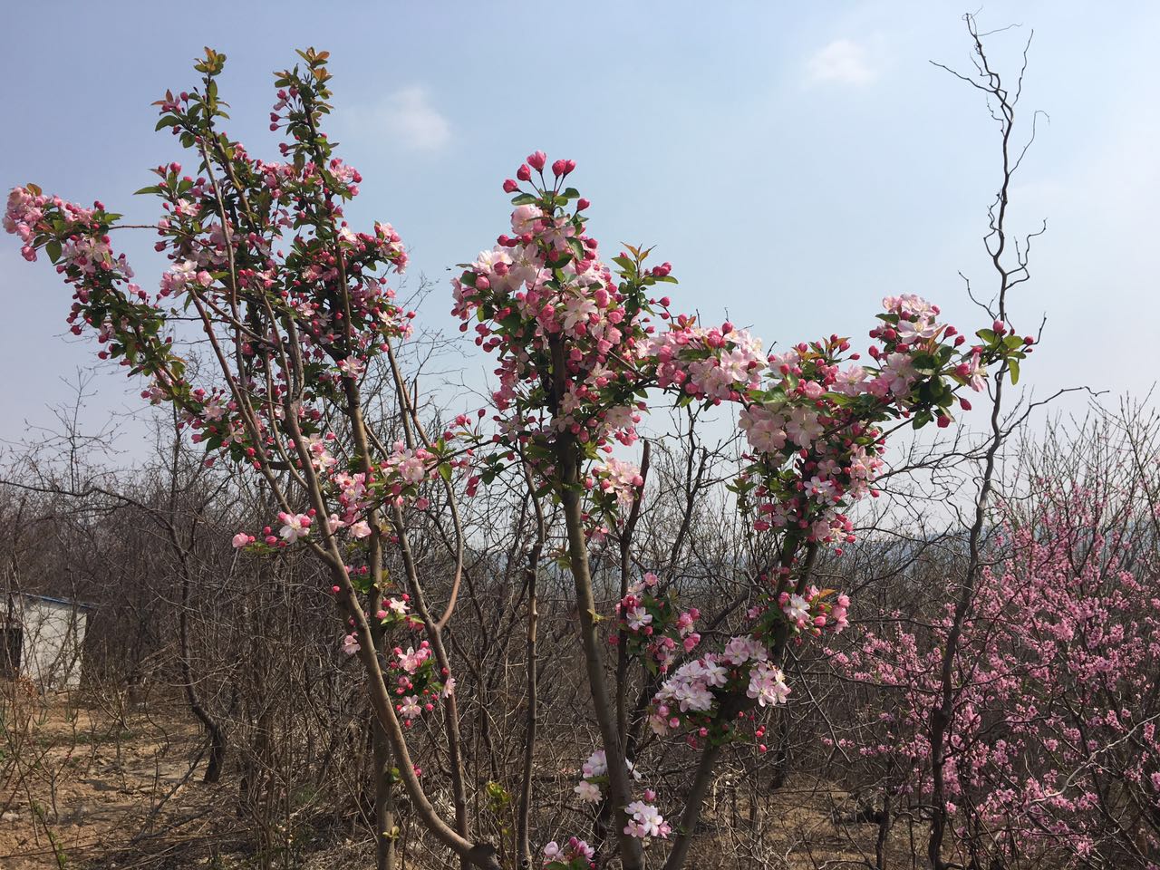 高職單招你考慮了嗎？到底值不值得考？