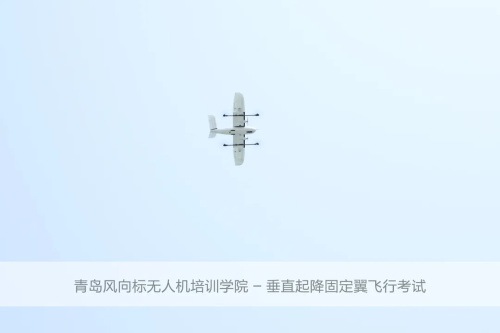 青島風(fēng)向標(biāo)無人機培訓(xùn)學(xué)院：關(guān)于無人機培訓(xùn)，你想知道的都在這里...