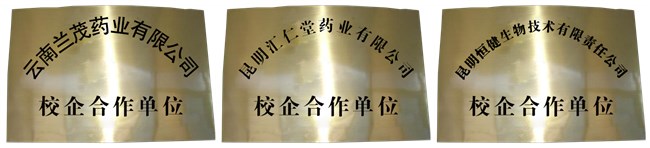 2024年就業(yè)率排名靠前的?？? /></center></p>
<p>
	專業(yè)設置</p>
<p>
	學院的專業(yè)設置瞄準云南省重點發(fā)展的產(chǎn)業(yè)板塊，瞄準滇中產(chǎn)業(yè)新區(qū)現(xiàn)有和未來行業(yè)及產(chǎn)業(yè)的發(fā)展方向，也關(guān)注云南能投集團的產(chǎn)業(yè)布局，反映產(chǎn)業(yè)對核心技術(shù)技能人才的質(zhì)量、水平和規(guī)格的要求。專業(yè)設置以理工類專業(yè)為主，逐步增設土建、水利、制造、電子信息、材料能源、交通運輸、財經(jīng)等大類專業(yè)，并根據(jù)經(jīng)濟與社會發(fā)展對人才的需求，結(jié)合學院實際，及時調(diào)整專業(yè)設置?，F(xiàn)開設有建筑測量技術(shù)、建筑工程技術(shù)、工程造價、城市軌道交通機電技術(shù)、城市軌道交通運營管理、城市軌道交通車輛技術(shù)、軟件技術(shù)、大數(shù)據(jù)技術(shù)與應用、移動應用開發(fā)、旅游管理、幼兒健康與發(fā)展等12個專業(yè)。</p>
<p>
	云南理工職業(yè)學院將“新工科、新職教、國際化成就新理工”作為目標與路徑，將其打造成為學院的鮮明特色。突出“新職教”這個類型特征，既區(qū)別于“復旦共識”“天大行動”的本科適應性，又將“新工科”的?？铺厣浞滞伙@出來。按“國際化”要求人才培養(yǎng)質(zhì)量對標國際標準，培養(yǎng)國際化人才，服務于“一帶一路”倡議，為相關(guān)國家培養(yǎng)人才。</p>
<p>
	<img alt=